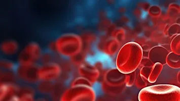 International Cord Blood Transplantation Symposium